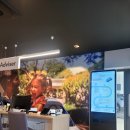 타이어서비스 | 폭스바겐 클라쎄오토 문현 서비스센터 방문 후기 엔진오일 교환 + 타이어 위치교환