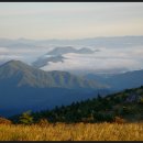 지곡낚시터 이미지