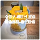 오름유통 | 대구 수성구 케이크 맛집 『 이승훈의 좋은아침 』 망고오름 케이크(1호) 솔직후기