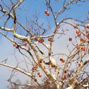 지리산아침 이미지