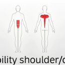 [Jungle sports suspension training] Core & shoulder stability 이미지