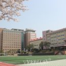 경기외고 이미지