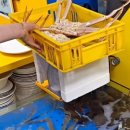 포구식품 이미지