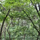 천마루 태권도 예절관 이미지