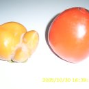 풍전농장 이미지