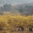 ICHEON14 이미지