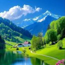 도리도리 이미지