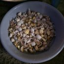 성혜원 | 11월 둘째 주 블챌 - 전현무계획 속초 가보오토종닭 돌판 짜장, 강원도 김장 150포기 후기