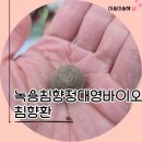녹용침향정대영바이오 침향환, 80년 장인 정신이 깃든 수작업의 정성 🌿✨