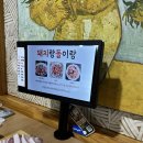 돼지랑돌이랑 이미지