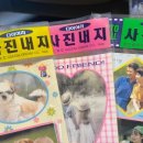 세종문구사