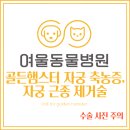 여울동물병원 이미지
