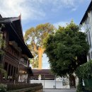 NANA 코스메틱 | 다시 찾은 치앙마이(4) 산티탐과 올드타운, 먹방여행