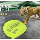 부안여자고등학교 이미지