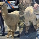 뉴욕호텔(주) 이미지