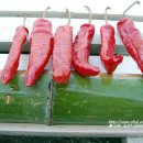 태양초 고추기름 이미지