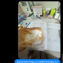 뉴진수학학원 | 2026년 4월