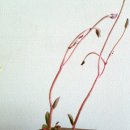 통통이네 이미지