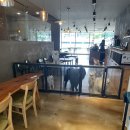 왈왈이 | [원주 강아지카페] 아이와 함께 가기 좋은 ‘왈왈이 카페’ 후기｜무실동·단구동 지점 비교