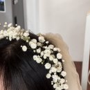 실버문헤어 이미지