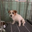 상주면사무소 이미지