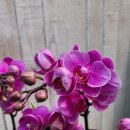 상남동279 이미지