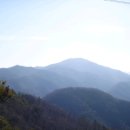 성배농장 이미지