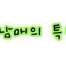 셀리 헤어아트