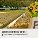 2024년 제44회 전국장애인체육대회 승마종목 후기 1