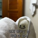 서래마을 카페, 맛집 추천..을 가장한 이모저모