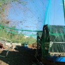 구구랜드 실키팜 이미지