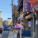 경북산곰장어 이미지