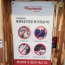 워시테리아올레