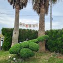 제주놀3320 이미지