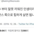 돼파