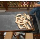 팜파스펜션 이미지