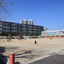 상정초등학교 이미지