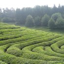 새만금사우나 이미지