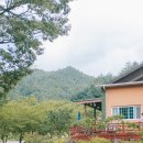 소금강여울목펜션 이미지