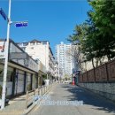 덕진-117 이미지