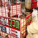 가야전통시장 | 일산시장 투어 후기｜먹거리부터 정겨운 분위기까지, 주말에 꼭 가볼 만한 전통시장