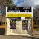 드림로또복권 | 12월 오사카·교토 여행 후기｜날씨·옷차림·일루미네이션·연말점보복권