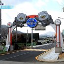돌목농장 네이버블로그