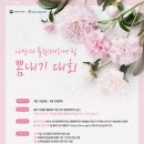 나만의 플랜테리어 이미지