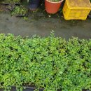 누리팜(주) 이미지