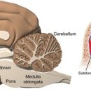 다산마리동물병원 이미지