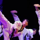 강인태권도체육관 이미지