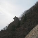 초심