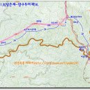 영춘농장 티스토리