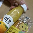 목포해독주스 | 바빴던 7월의 일상 (목포여행, 흠뻑쇼, 태안여행🚘)